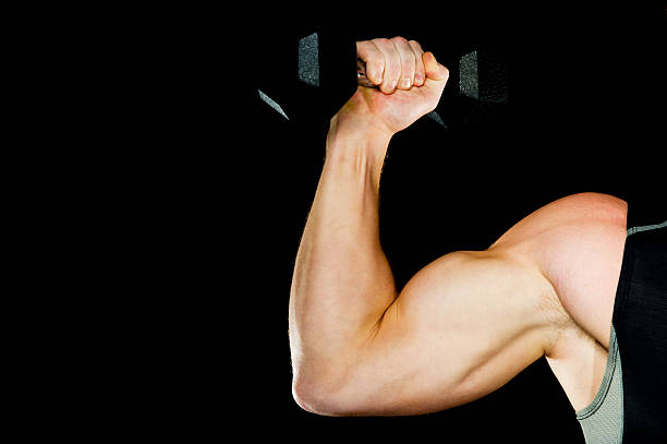 10 Exercises for Short Head of Biceps: To Workout Better